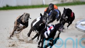 Ban greyhound racing in 2025, say Greens