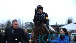 Rising star The New Lion snapped up by JP McManus