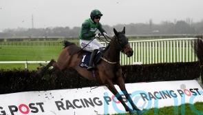 Fun Fun Fun for Mullins with beginners chase clean sweep