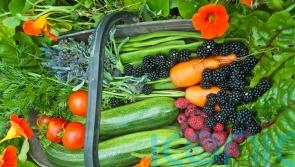 The spots to place edible plants for successful growing