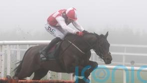 Hello Neighbour to defend unbeaten record at Dublin Racing Festival