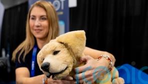 CES 2025: AI-powered beauty mirrors and robot pets among gadgets on display