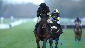 Harry Skelton looking forward to next chapter with The New Lion