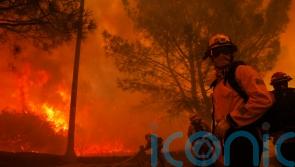 Hollywood cancels film premieres as firefighters battle ‘extreme’ wildfire