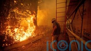 SAG Awards nominations and premieres cancelled as wildfires hit Los Angeles
