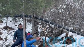 Elk and safety: Animal rescued after Colorado cliffhanger