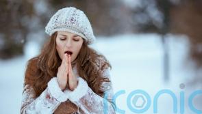 How the cold snap is affecting your hair
