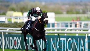 Strong Leader booked for Cleeve Hurdle outing before spring plans