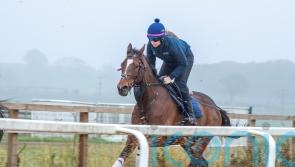 Rebecca Menzies has big-race options for Boomslang
