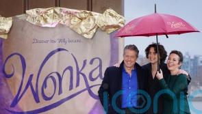 Wonka named biggest home entertainment movie of 2024 in UK