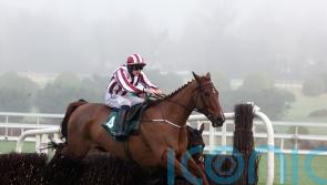 O’Loughlin weighing up Windsor for Jeannot Lapin