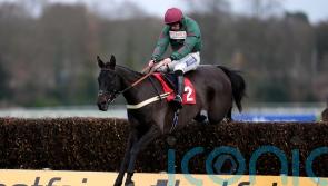 Pauling confident Handstands can thrive at Towton trip
