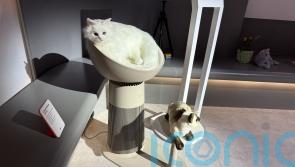 The weird and wonderful gadgets of CES 2025