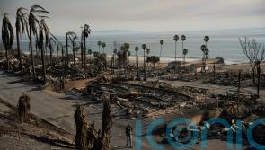 US actor James Woods describes ‘miracle’ of finding home standing in ‘hellscape’
