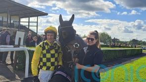 All eyes on Salvator Mundi at Punchestown on Sunday