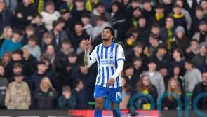 Georginio Rutter at the double as Brighton ease past Norwich in FA Cup