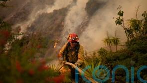Los Angeles wildfires death toll rises as strong winds forecast to return