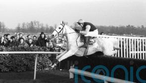 Powell recalls Panto’s Ascot battle with jumps great Dessie