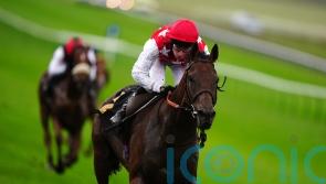 Clover sets sights on Red Sea riches with Al Nayyir
