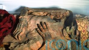 Lasers help archaeologists study ancient tattoos on Peruvian mummies