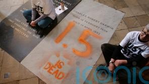 Just Stop Oil protesters charged over spray-paint on Charles Darwin’s grave