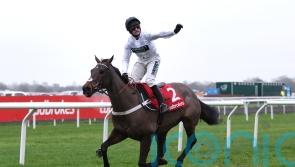 Constitution Hill could face Champion Hurdle challenge from Japan