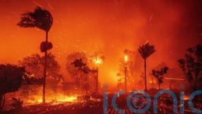 Small number of Irish citizens affected by LA wildfires – Martin