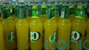 Carlsberg&rsquo;s &pound;3.3bn takeover of Britvic approved by High Court judge