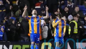 John Marquis brace helps struggling Shrewsbury upset high-flying Wrexham