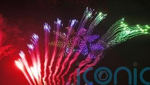 Loud fireworks stop guide dog users going out, says MP in call to limit sales