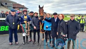 Gate open for return to Cheltenham after Navan success
