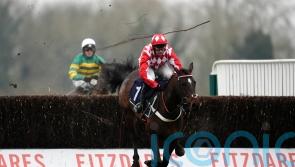 Jingko Blue picks up Hampton honours at Windsor