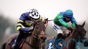 Jubilee Alpha sets up Cheltenham bid with Windsor victory