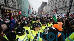 Nine people charged with public order offences after London pro-Palestine protest