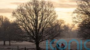Stronger winds ahead as weather set to turn ‘unsettled’ before weekend
