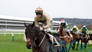 Broadway Boy team plotting Grand National route