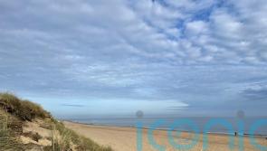 Seals and sea air make Norfolk a refreshing choice for a winter family break