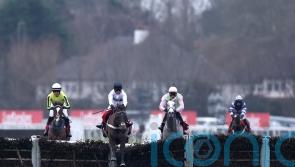 Constitution Hill and Lossiemouth possible for Cheltenham rematch