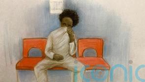 Southport killer spoke in court for first time to enter guilty pleas