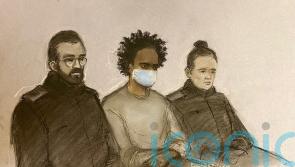 Southport killer Rudakubana referred to anti-extremism programme before attack