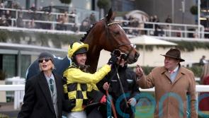 Lulamba features in entries for Supreme Novices’ Hurdle