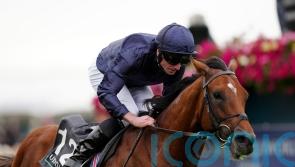City Of Troy and Laurel River share world’s best horse honours
