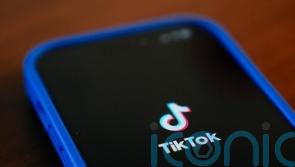Trump joint venture proposal on TikTok ownership counter-intuitive, expert says
