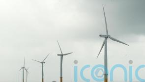 Rules to curb harmful underwater noise in offshore wind construction unveiled