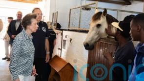 Maverick the pony kicks up a fuss as Anne visits stables in South Africa