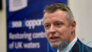 Armed Forces commissioner expected to be in place in 2026, defence minister says