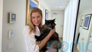 Mittens the cat becomes an accidental frequent flyer