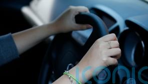 Driving bans for benefits cheats would be for ‘extreme’ cases – minister