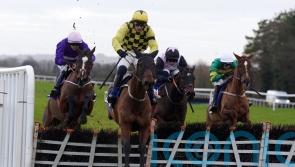 Straight to Cheltenham for Supreme favourite Salvator Mundi