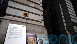 Family hope David Lammy’s Egypt visit can lead to release of jailed writer